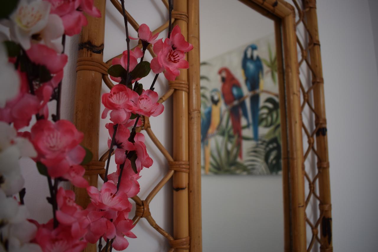Casa Cinzia Bed & Breakfast Las Palmas de Gran Canaria Dış mekan fotoğraf